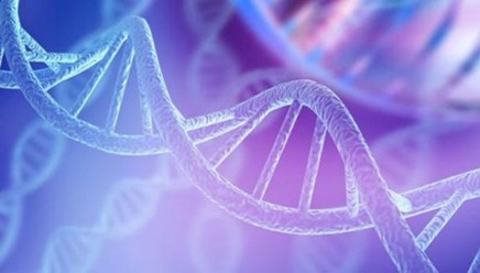 MTC, factores genéticos